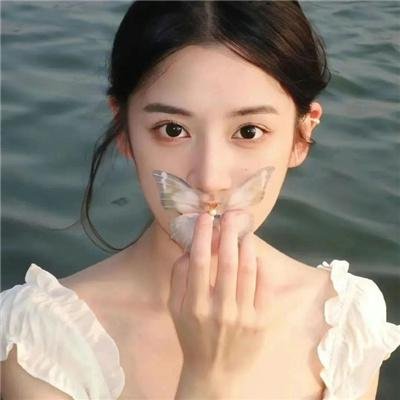 菊石
